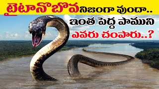 Titanoboa Real Story In Telugu | టైటానోబోవా పామును ఎవరు చంపారు? |Mysteries of World's Biggest Snake