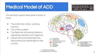 Hyperactivity In Children | The New Understanding About ADHD In Children Improves Treatment