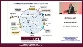 Professor Cliff Bailey - 'Is there still a place for sulphonylureas?'