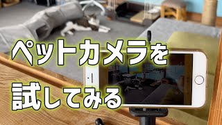 ペットカメラを設置してみた／アルフレッドカメラ Alfred Camera／I installed pet cameras.