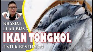 KHASIAT IKAN TONGKOL UNTUK KESEHATAN