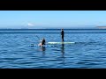 Fata Morgana Mirage Seen in the Strait of Juan De Fuca