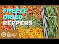 Food Storage: Freeze Dried Peppers