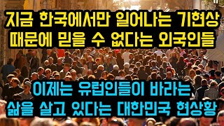 지금 한국에서만 일어나는 기현상 때문에 믿을 수 없다는 반응의 외국인들  이제는 유럽인들이 바라는 삶을 살고 있다는 대한민국 현상황