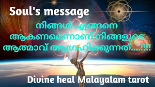 your souls message ✨💕🌹നിങ്ങൾ എങ്ങിനെ ആകണമെന്നാണ് നിങ്ങളുടെ  ആത്മാവ് ആഗ്രഹിക്കുന്നത്??? ♥️✨🦋