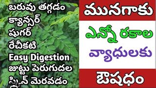 మునగాకు కారంపొడి ll Moringa Leaves Benefits   ll Munagaku Kaaram Recipe In Telugu