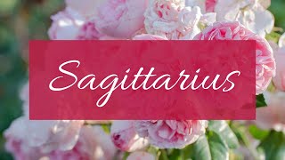 Sagittarius❤️Who’s coming towards u in love: The one that put u in 3rd party will be back for this..