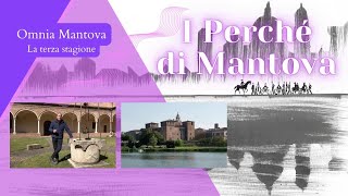 Omnia Mantova. Il posto della tartaruga? E' via Galana