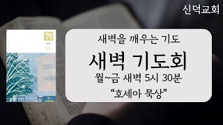 신덕교회 새벽기도회 (11월 27일)