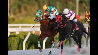 20241225 競馬ﾚｰｽﾄﾋﾟｯｸ　【吉原騎手まくり】'24兵庫ｺﾞｰﾙﾄﾞT D2000 G3 フォーヴィスム