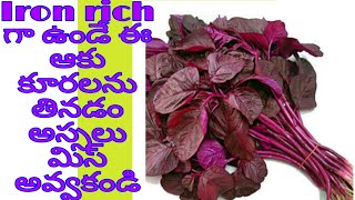 ఎర్రతోటకూర  Quick weight loss +10Health Benefits in Telugu/Lal sag /Chawli leaves/Amarnath leaves