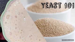 Yeast 101: Intro to Beginners in Tamil | How to make homemade Yeast | Activate Active Dry Yeast