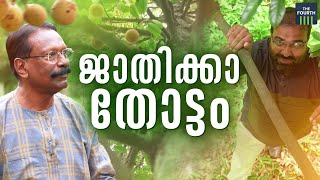 പത്തേക്കറില്‍ നിന്ന് 30 ഏക്കറിന്റെ വരുമാനം | Jose Kottoor