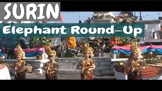 Thailand's Surin Elephant Round-up Festival