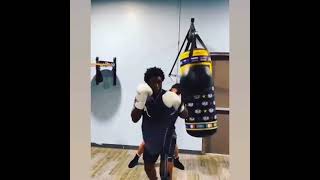 Customer video on the Grodex Fixed Metal Base Cobra Punching Bag