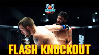 Knockout Storm: A Devastating Hook and Explosive TKO Rock the Arena  #mma #mmaonly #hexagone