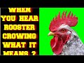 WHEN YOU HEAR A ROOSTER CROWING WHAT DOES IT MEAN ?