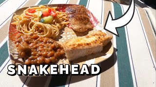 (How To Cook) NORTHERN #SNAKEHEAD on #blackstone CATCH/COOK