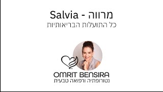 מרווה (שם מדעי: Salvia) - כל התועלות הבריאותיות עמרית בן סירה, נטורופתית 050-5401171