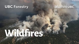 Wildfires