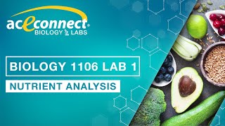 Biology 1106 Lab 1 || Nutrient Analysis