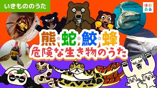 危険な生き物（熊・蛇・鮫・蜂）のうた🐻🐍🦈🐝