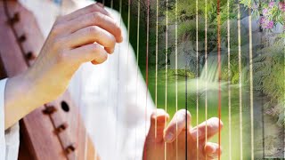 Celtic harp and superb nature, forest, spring, stream, birdsong, relaxing zen music