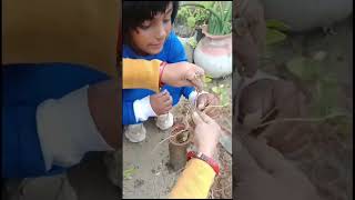 Anaya Ka New Garden 🪴 #garden ing#plants #shorts #shortsvideo  n