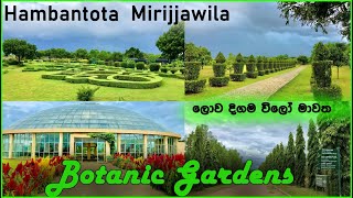 Dry Zone Botanical Garden | Mirijjawila | Hambantota | Botanic Gardens | මිරිජ්ජවිල උද්භිත උද්‍යානය