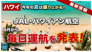 【ハワイ！8月から毎日飛ぶ！】ついにハワイアン航空・JALが増便と路線再開を発表！【エアハワイ】【4K】