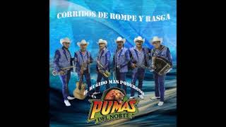 Los Pumas Del Norte - Corridos De Rompe Y Rasga