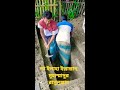 আগামী দিনের বাড়ি