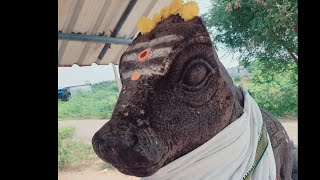 Vimeeswarar ShivanTemple|Sriperumbudur|விம்மீஸ்வரர் சிவன்கோவில்|Shivalingam|LordShiva|#சென்னை #short