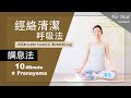 10分鐘 調息法【經絡清潔呼吸法】Pranayama ★ #調息法 #鼻孔交替呼吸法 #NadiSodhanaPranayama