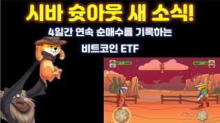 시바 슛아웃 게임을 보여 드립니다~! 이젠 진짜 바닥이다! 4일째 연속 순 매수중인 비트코인 현물 ETF