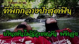 ที่พักกลางป่าสุดฟิน บ้านต้นไม้ร้อยหวันพัทลุง|SD want to say