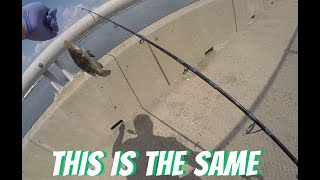 THIS IS THE SAME S%%%T CROSS BAY BRIDGE FISHING NYC