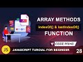 JavaScript Array Methods - indexOf & lastIndexOf Finction | Javascript Tutorial: 28 | BY CodePrime