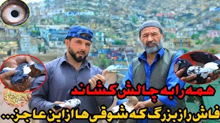 کفتر کله گنسگ را تداوی میکنم ۱۵ کفتر جور کردیم | disclose of biggest secret