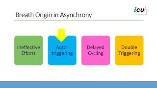 Breath Origin in Asynchrony on Mechanical Ventilation