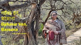 Gahavar Van at Barsana Parikrama || Radha Dasi