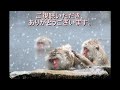 （詩）雪　水谷まさる 朗読：向井智子