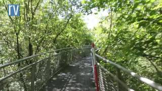 Walkway through the trees in Bon-Secours, Péruwelz