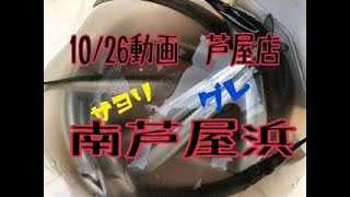 10/26南芦屋浜のグレとサヨリ　フィッシングマックス芦屋店