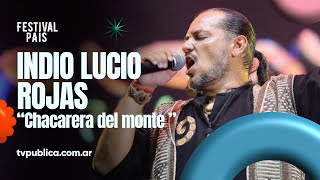 Chacarera del monte por el Indio Lucio Rojas en Cosquín - Festival País 2024