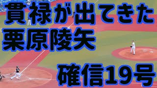 20号まであと1本！貫禄が出てきた栗原陵矢の確信19号ホームラン【ホークス】