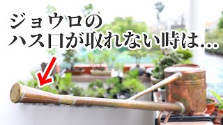 固くて取れないハス口の外し方