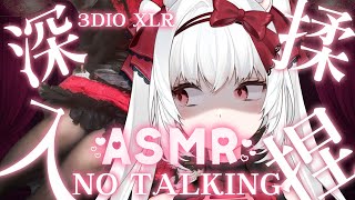 【NO TALKING ASMR】深入揉捏 黑絲姊姊的深夜調教  3DIO XLR ASMR/睡眠導入/耳マッサージ【天使Vtuber小雪Yukichan】 #Vtuber Surfshark VPN