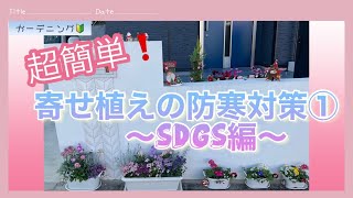 【寄せ植え】超簡単な防寒対策①/ガーデニング／冬越し/冬の寄せ植え／SDGS