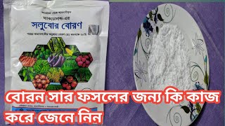 বোরন সার ফসলের জন্য কি কি কাজ করে চলুন জেনে আসি,Let's find out what works for boron fertilizer crops